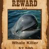 Reward Offered For Information About Whale Killer